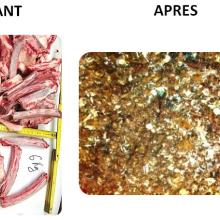 déchets avant et après